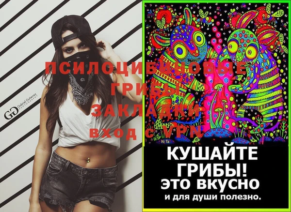 первитин Богданович