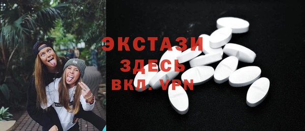 индика Тында