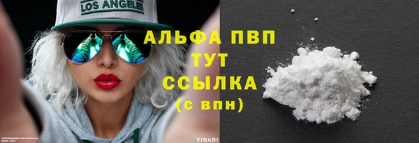 первитин Богданович