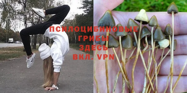 MDMA Богородск