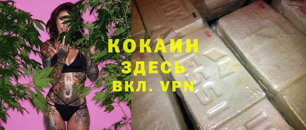 первитин Богданович