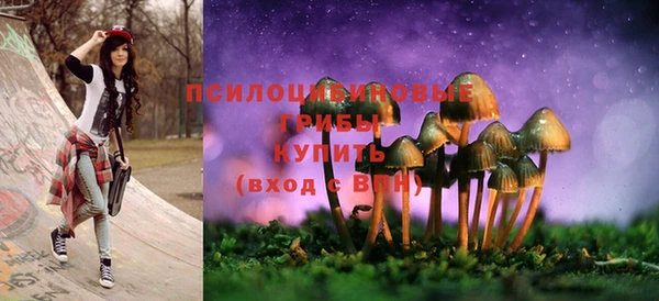 первитин Богданович
