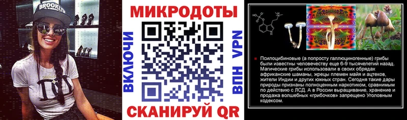 купить   Купино  Галлюциногенные грибы мицелий 